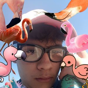 Meet your Posher, Irvin